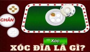 Cách Tham Gia Xóc Đĩa Tại Sao789: Hướng Dẫn Chi Tiết Cho Người Chơi 2 Cách Tham Gia Xóc Đĩa Tại Sao789: Hướng Dẫn Chi Tiết Cho Người Chơi